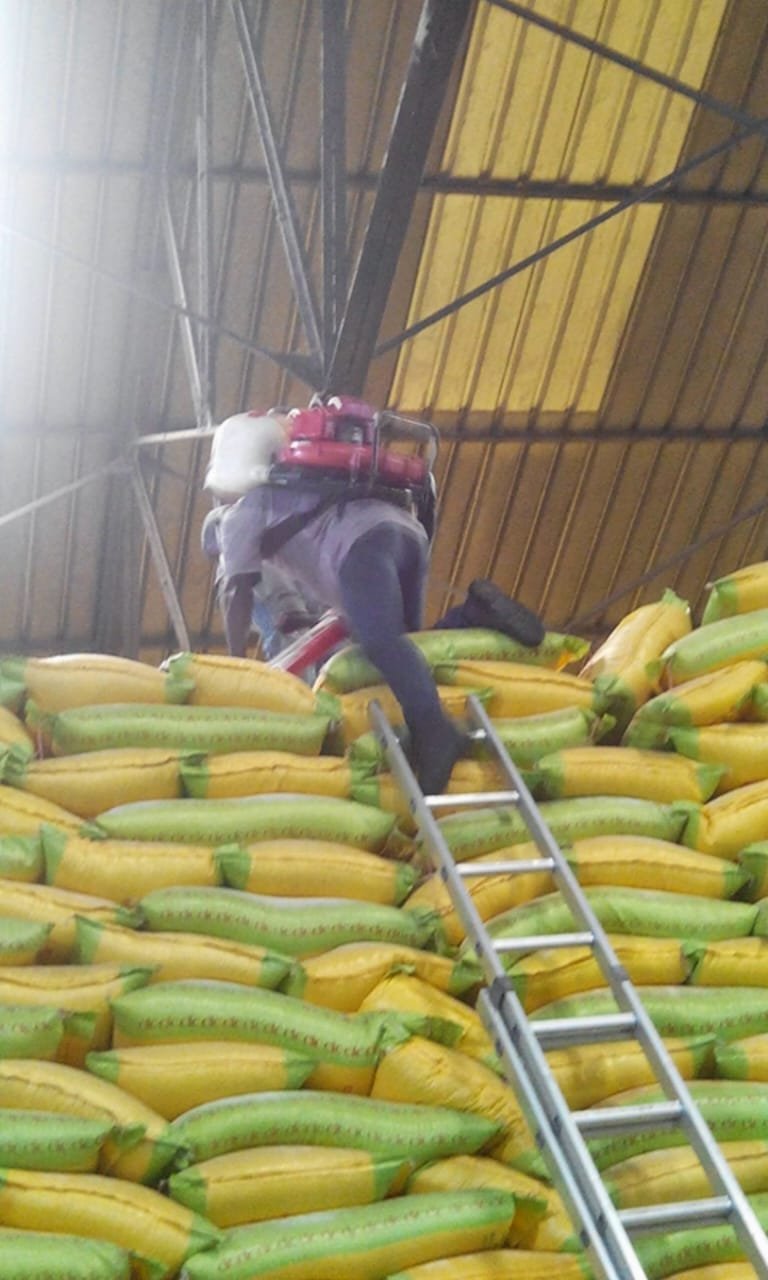 Traitement des Entrepôts